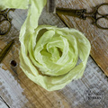 Dekorative VINTAGE Shabby Bänder - zitrone