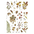 AUFKLEBER folie - Pilze, Zapfen, Blätter