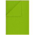 	100% Wolle Filz WOLLFILZ Bastelfilz Dekofilz 20x30cm/1,5 mm/450g, 5678 hellgrün
