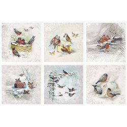 Reispapier-Set - ITD RSM084 Vögel