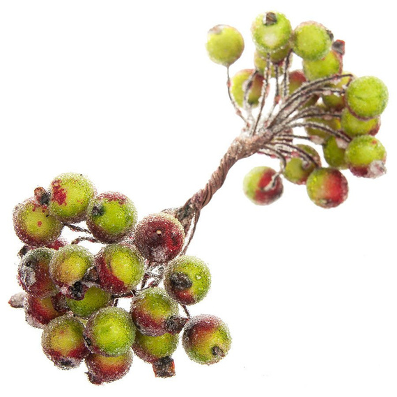 Gefrostete Beeren - rot-grüne - 1 Zweig mit 40 Beeren 