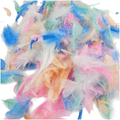 DECO FEDERN Bunt Bastelfeder Fasching Karneval Handwerk 6-12 cm Loveart 5 Farben