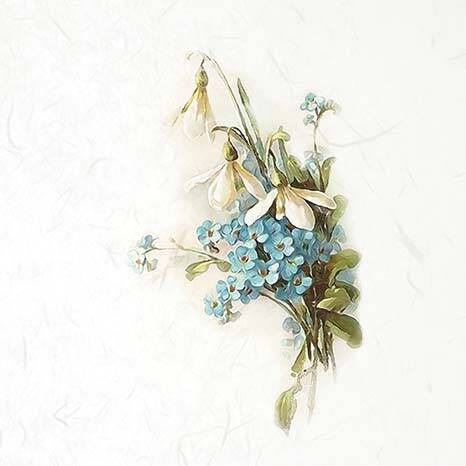 ITD Reispapier Decoupage SET Bastelpapier, Vergissmeinnicht RSM077 