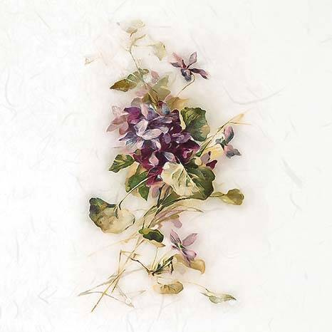 ITD Reispapier Decoupage SET Bastelpapier, Feldblumen, Kornblumen RSM075 