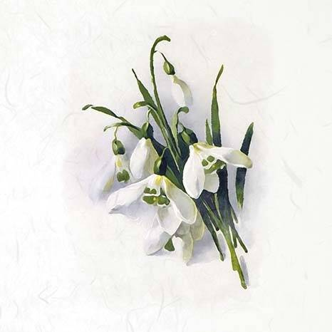 ITD Reispapier Decoupage SET Bastelpapier, Hyazinthen, Schneeglöckchen, Krokusse RSM073 