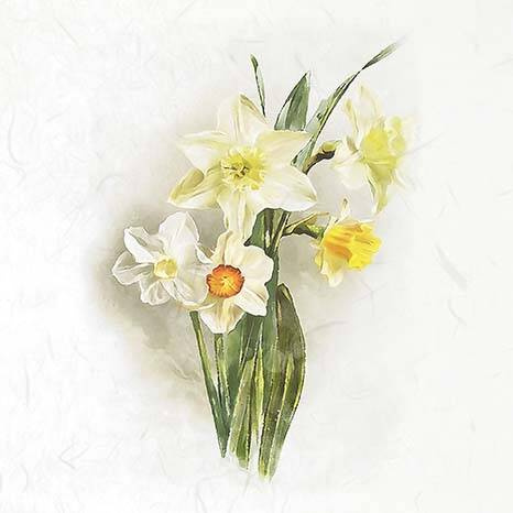 ITD Reispapier Decoupage SET Bastelpapier,  Narzissen, Narzissen, Margeriten RSM074 