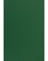 A4 Papier Sirio Color 210g Foglia - 25ark