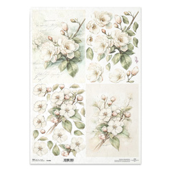 Reispapier Decoupage Bastelpapier für Decoupage A3 ITD R1428L Apfelbaum Blumen