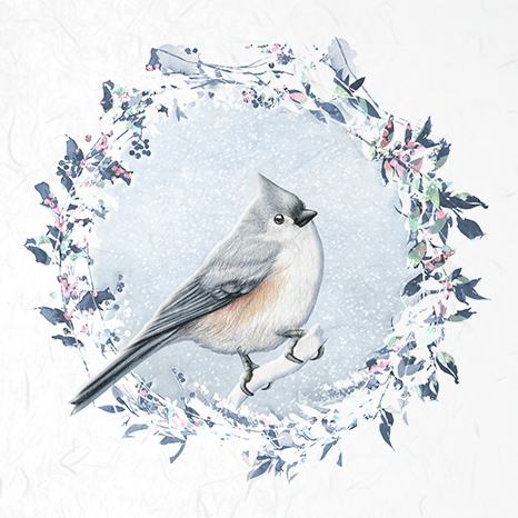 ITD - Reispapier-Set - RSM049 Vögel