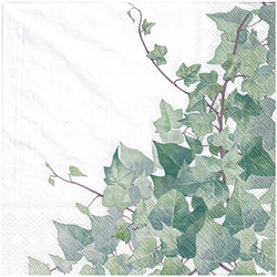 SERVIETTEN 1 Stück Motivservietten Decoupage Napkin 33x33cm, Hedera white Efeu
