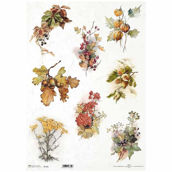 Reispapier für Decoupage A3 ITD-1142L Eichenblätter, Eicheln, Balg, Efeu, Eberesche