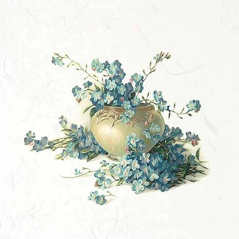 ITD Reispapier Decoupage SET Bastelpapier, Vergissmeinnicht RSM077 