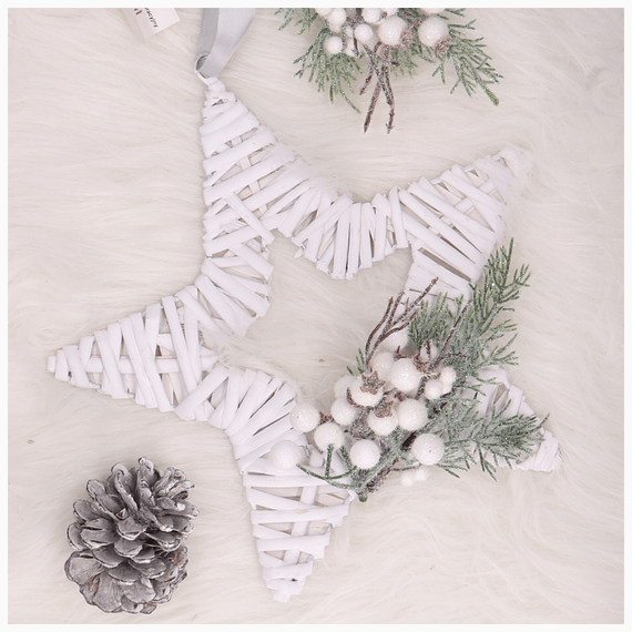 Weihnachtszweig weiß gefrostet - 1 Zweig