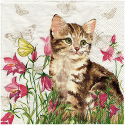 SERVIETTEN 1 Stück Motivservietten Decoupage Napkin 33x33cm, Minka Kitten