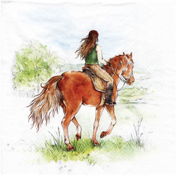 SERVIETTEN 1 Stück Motivservietten Decoupage Napkin 33x33cm, Riding