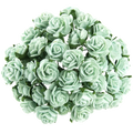 ROSEN Geöffnete 25 mm 25 Stk. Scrapbooking Maulbeerpapier Blumen pastell hellgrün 