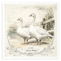 Reispapier-Set-Bastelpapier - ITD - RSM162 Gänse
