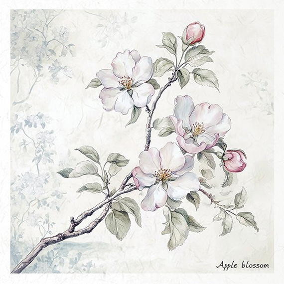 Reispapier-Set-Bastelpapier - ITD - RSM176 Blumen, Magnolie, Apfelblüten