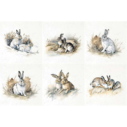 Reispapier-Set - ITD - RSM114 Hasen