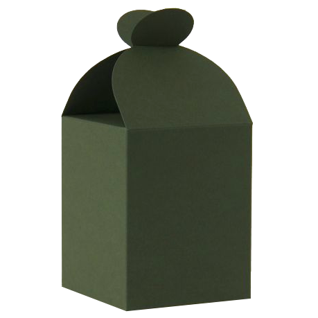 RzP Rechteckige Schachtel Geschenkbox Box Geschenkschachtel 8x8x10 300g, grün