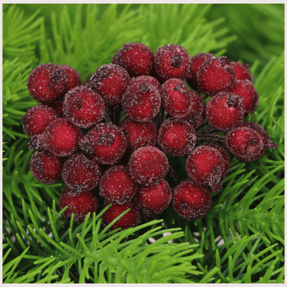 Gefrostete Beeren - bordeaux - 1 Zweig mit 40 Beeren