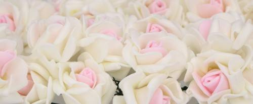 Cremefarbene Schaumrosen mit hellrosa Mitte