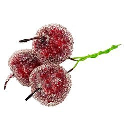 Frostige Äpfel auf einem Zweig - 1 Zweig - 3 Früchte