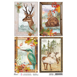 CIAO BELLA Reispapier Decoupage Bastelpapier Softpapier, Forest cards