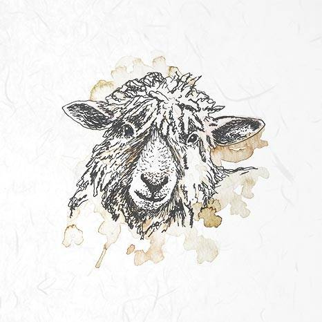 ITD - Reispapier-Set - ITD - RSM003 Nutztiere