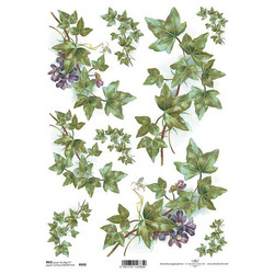 ITD Reispapier Decoupage Bastelpapier, Efeu R0970