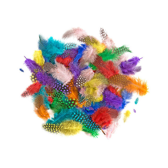 Dekofedern Fasanenfedern 4-7cm - brights bunt - 10g