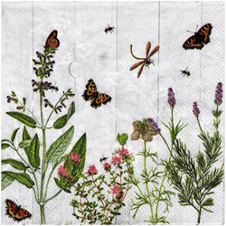 SERVIETTEN 1 Stück Motivservietten Decoupage Napkin 33x33cm, Herb garden