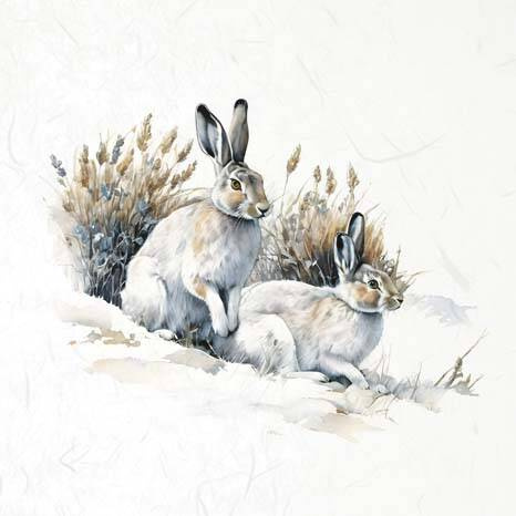 Reispapier-Set - ITD - RSM114 Hasen