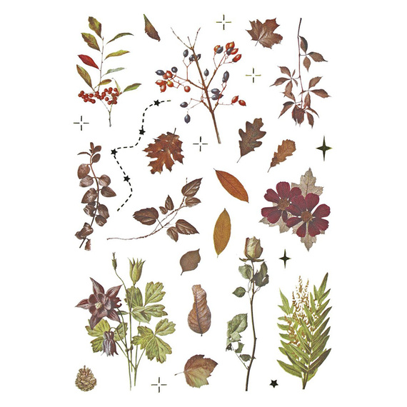 AUFKLEBER folie - Pilze, Zapfen, Blätter