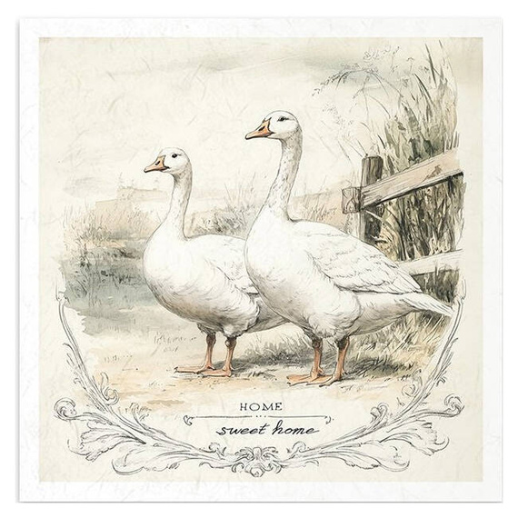 Reispapier-Set-Bastelpapier - ITD - RSM162 Gänse