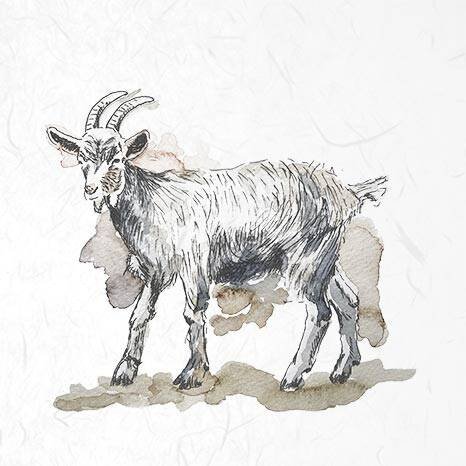 ITD - Reispapier-Set - ITD - RSM002 - Hühner, Gänse