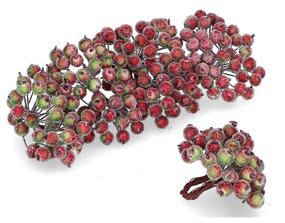 Gefrostete Beeren - rot-grüne - 1 Zweig mit 40 Beeren 