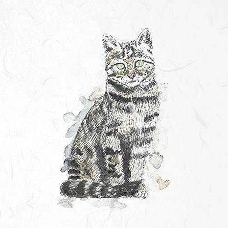 ITD Reispapier Decoupage Bastelpapier, RSM006 Katzen und Hunde