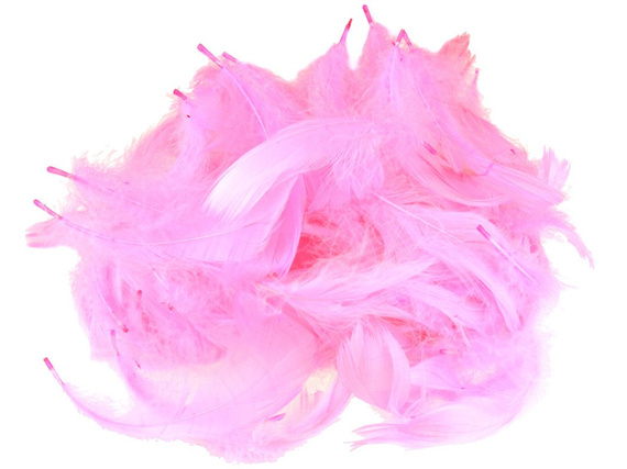 FEDERN Bastelfedern Dekofedern Feathers 10g/1-10cm, rosa