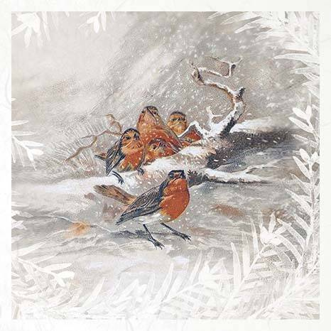 Reispapier-Set - ITD RSM084 Vögel