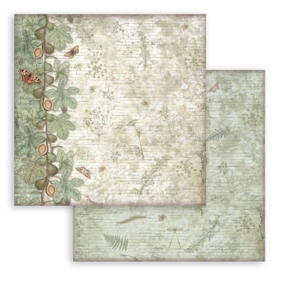 Scrapbooking Papier Set 20x20 - Herbarium Silvae Hintergrund - Stamperia