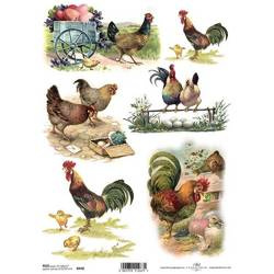 ITD Reispapier Decoupage Bastelpapier Softpapier Serviettentechnik, Hühner R1107