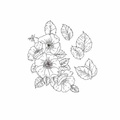 AGATERIA - Transparent Stempel Motivstempel, Wild rose, Wildrose 
