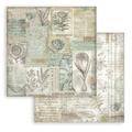 Scrapbooking Papier Set 20x20 - Herbarium Silvae Hintergrund - Stamperia