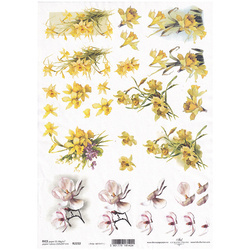ITD Reispapier Decoupage Bastelpapier Serviettentechnik-R2232 Narzisse, Magnolie