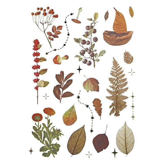 AUFKLEBER folie - Pilze, Zapfen, Blätter