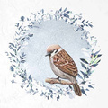 ITD - Reispapier-Set - RSM050 Wintervögel