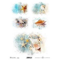 ITD Reispapier Decoupage Bastelpapier Softpapier Serviettentechnik, Muscheln R1611