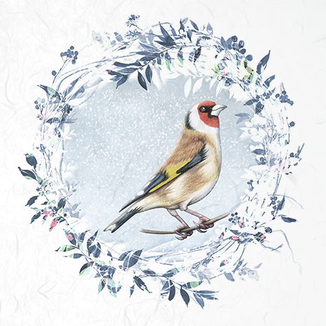 ITD - Reispapier-Set - RSM049 Vögel