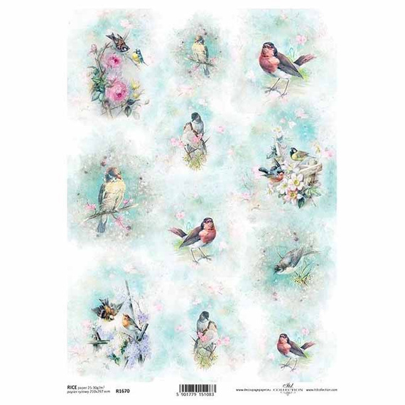 Reispapier für Decoupage, Aquarelle, Vögel, Frühling ITD-R1670 - A4